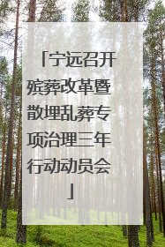 宁远召开殡葬改革暨散埋乱葬专项治理三年行动动员会