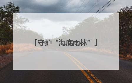 守护“海底雨林”
