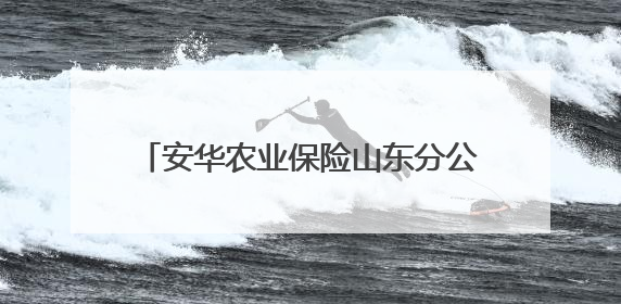 安华农业保险山东分公司以科技护航助农丰收