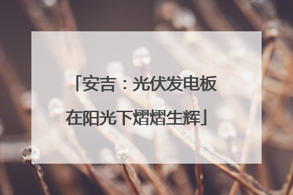 安吉：光伏发电板在阳光下熠熠生辉