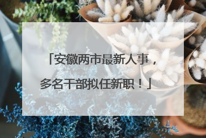 安徽两市最新人事，多名干部拟任新职！