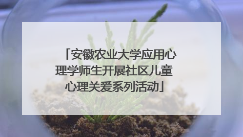 安徽农业大学应用心理学师生开展社区儿童心理关爱系列活动