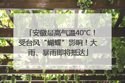 安徽最高气温40℃！受台风“蝴蝶”影响！大雨、暴雨即将抵达