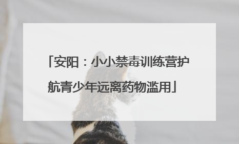 安阳：小小禁毒训练营护航青少年远离药物滥用