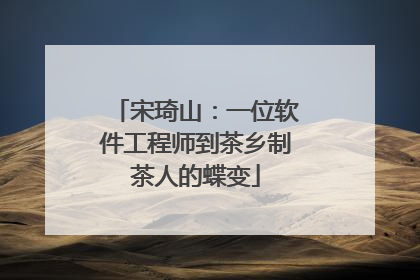 宋琦山：一位软件工程师到茶乡制茶人的蝶变