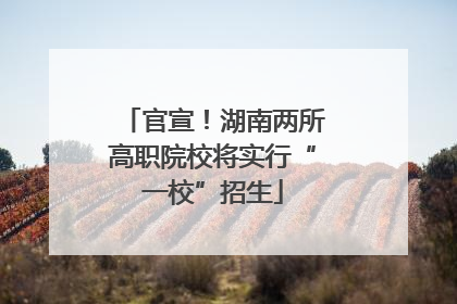 官宣！湖南两所高职院校将实行“一校”招生