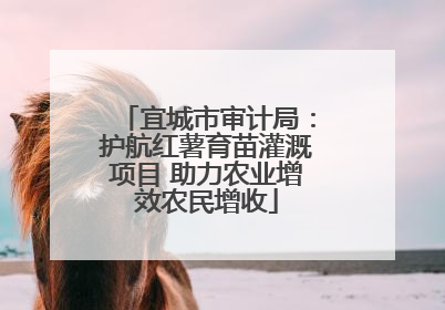 宜城市审计局：护航红薯育苗灌溉项目 助力农业增效农民增收