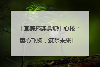 宜宾筠连蒿坝中心校：童心飞扬，筑梦未来