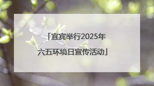 宜宾举行2025年六五环境日宣传活动