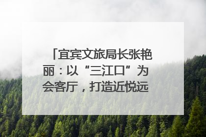 宜宾文旅局长张艳丽：以“三江口”为会客厅，打造近悦远来的国际旅游城市｜文旅局长说