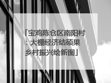 宝鸡陈仓区南阳村：大棚经济结硕果 乡村振兴绘新图