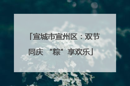 宣城市宣州区：双节同庆 “粽”享欢乐