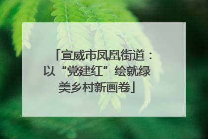 宣威市凤凰街道：以“党建红”绘就绿美乡村新画卷