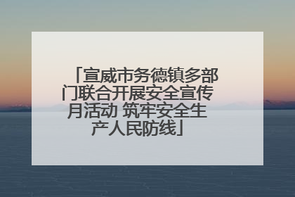宣威市务德镇多部门联合开展安全宣传月活动 筑牢安全生产人民防线