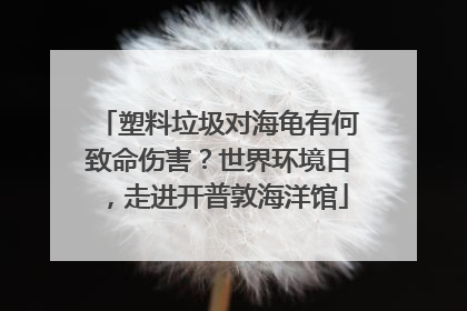 塑料垃圾对海龟有何致命伤害？世界环境日，走进开普敦海洋馆