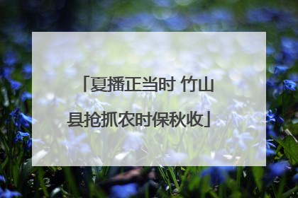 夏播正当时 竹山县抢抓农时保秋收