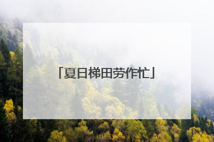 夏日梯田劳作忙