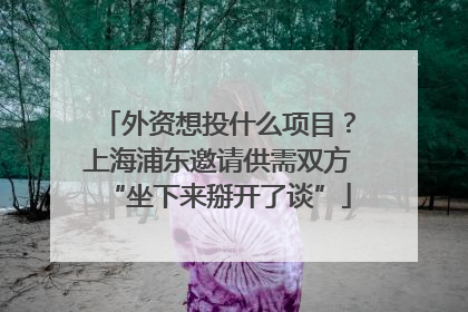 外资想投什么项目？上海浦东邀请供需双方“坐下来掰开了谈”
