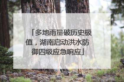 多地雨量破历史极值，湖南启动洪水防御四级应急响应