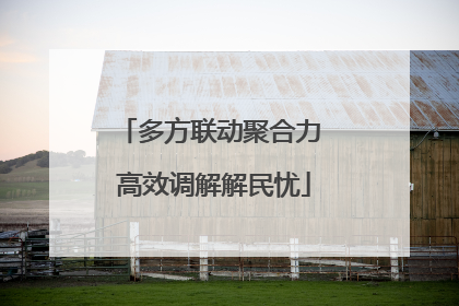 多方联动聚合力 高效调解解民忧