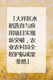 大祥区水稻选育与应用项目实现新突破，农业农村局全程护航成果斐然