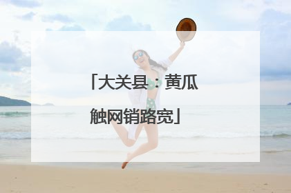 大关县：黄瓜触网销路宽