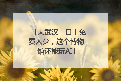 大武汉一日丨免费人少，这个博物馆还能玩AI
