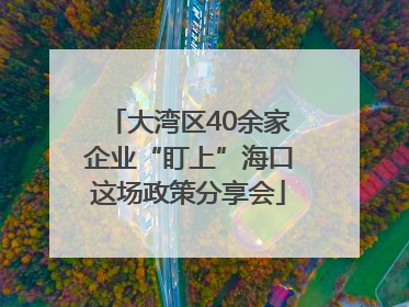 大湾区40余家企业“盯上”海口这场政策分享会