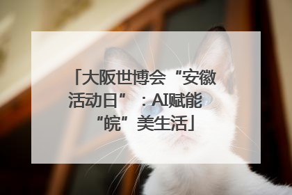 大阪世博会“安徽活动日”：AI赋能“皖”美生活