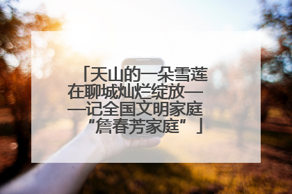 天山的一朵雪莲在聊城灿烂绽放——记全国文明家庭“詹春芳家庭”