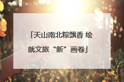天山南北粽飘香 绘就文旅“新”画卷
