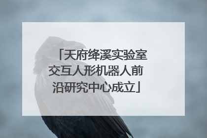 天府绛溪实验室交互人形机器人前沿研究中心成立