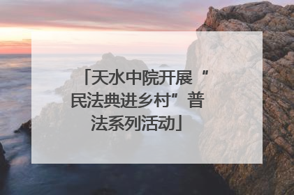 天水中院开展“民法典进乡村”普法系列活动