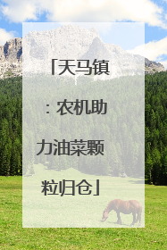 天马镇：农机助力油菜颗粒归仓