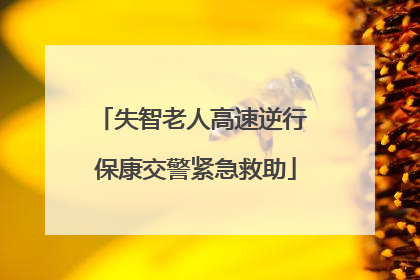 失智老人高速逆行 保康交警紧急救助