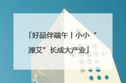 好品伴端午丨小小“潍艾”长成大产业