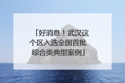好消息！武汉这个区入选全国首批综合类典型案例