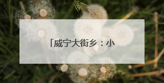 威宁大街乡：小河道治出大民生