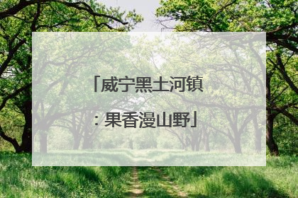 威宁黑土河镇：果香漫山野