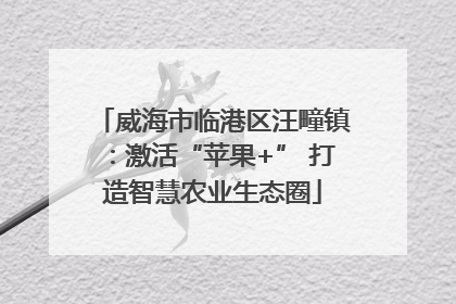 威海市临港区汪疃镇：激活“苹果+” 打造智慧农业生态圈
