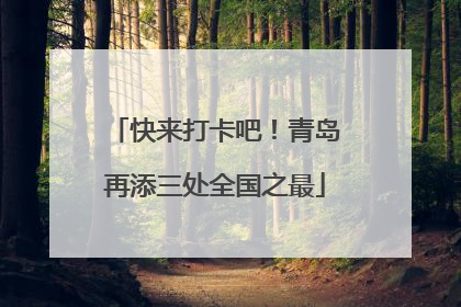 快来打卡吧！青岛再添三处全国之最