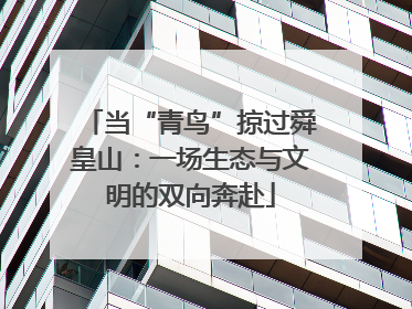 当“青鸟”掠过舜皇山：一场生态与文明的双向奔赴