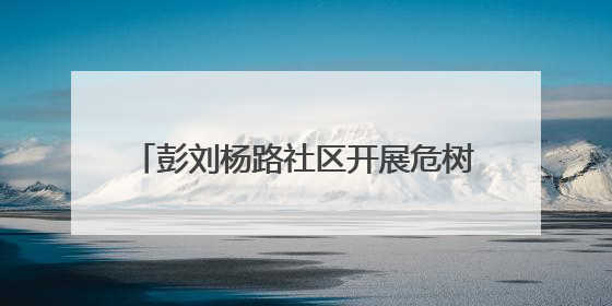 彭刘杨路社区开展危树清理行动，消除“头顶隐患”守护居民安全