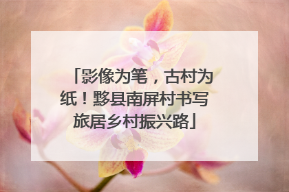 影像为笔，古村为纸！黟县南屏村书写旅居乡村振兴路