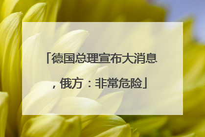 德国总理宣布大消息，俄方：非常危险