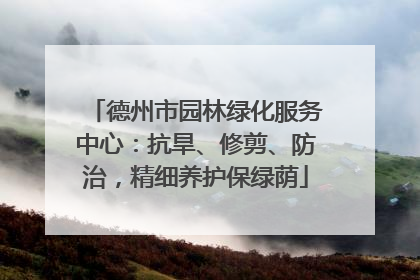 德州市园林绿化服务中心：抗旱、修剪、防治，精细养护保绿荫
