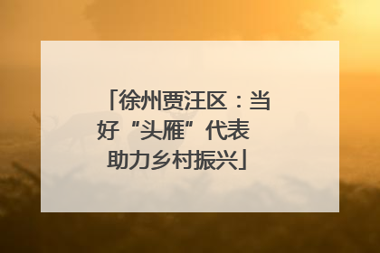 徐州贾汪区：当好“头雁”代表 助力乡村振兴