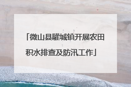 微山县驩城镇开展农田积水排查及防汛工作