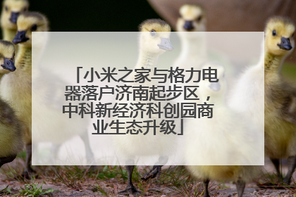 小米之家与格力电器落户济南起步区，中科新经济科创园商业生态升级