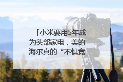 小米要用5年成为头部家电，美的海尔真的“不惧竞争”？｜热财经